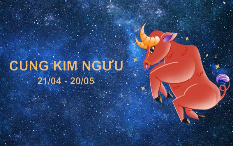 CUNG KIM NGƯU